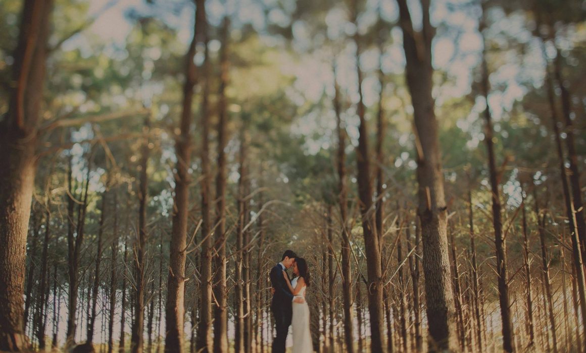 perth_prewedding_engagement_photography_pine_forest_waneroo_top 1